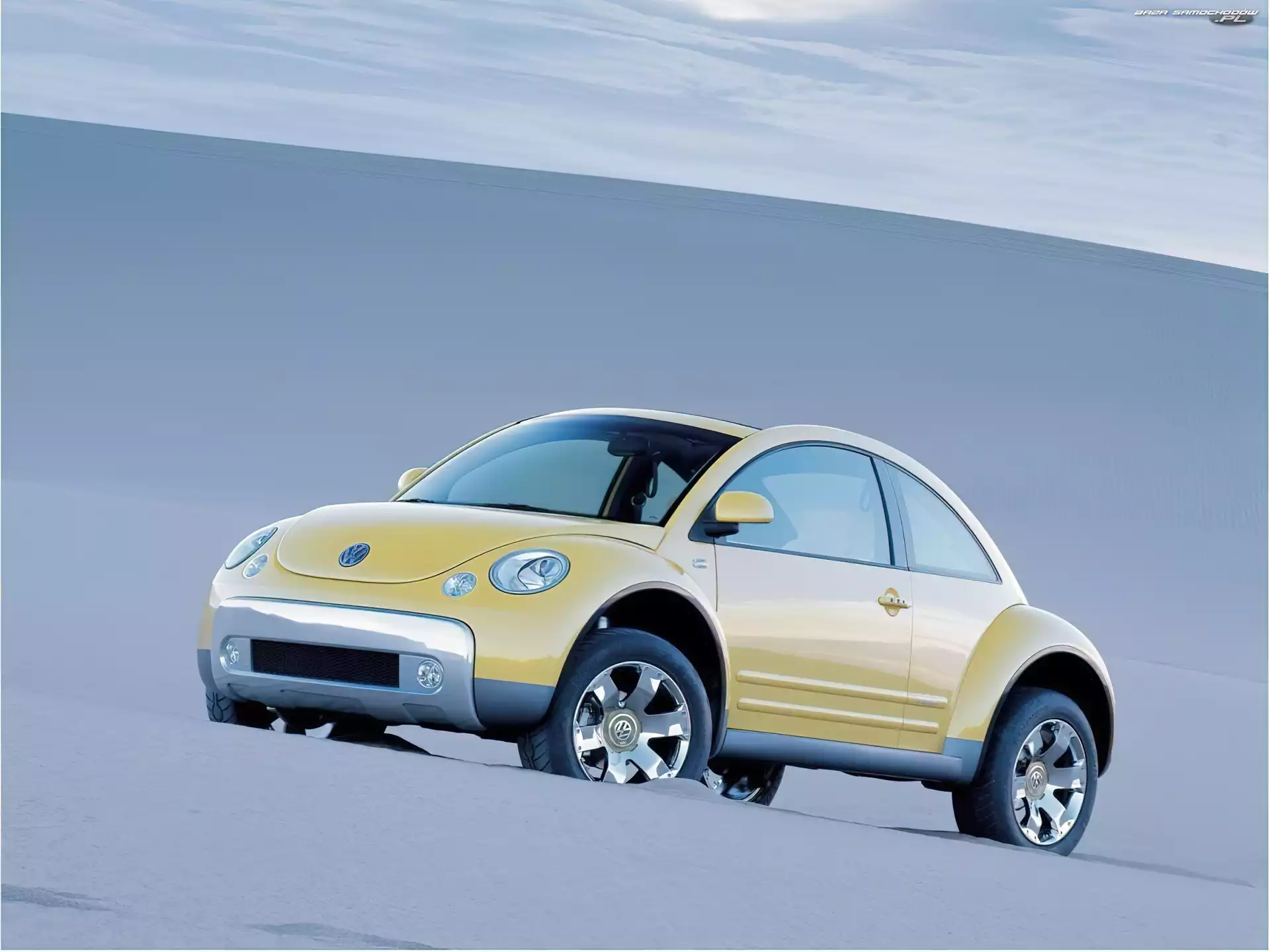 terenowy, New Beetle, Żółte