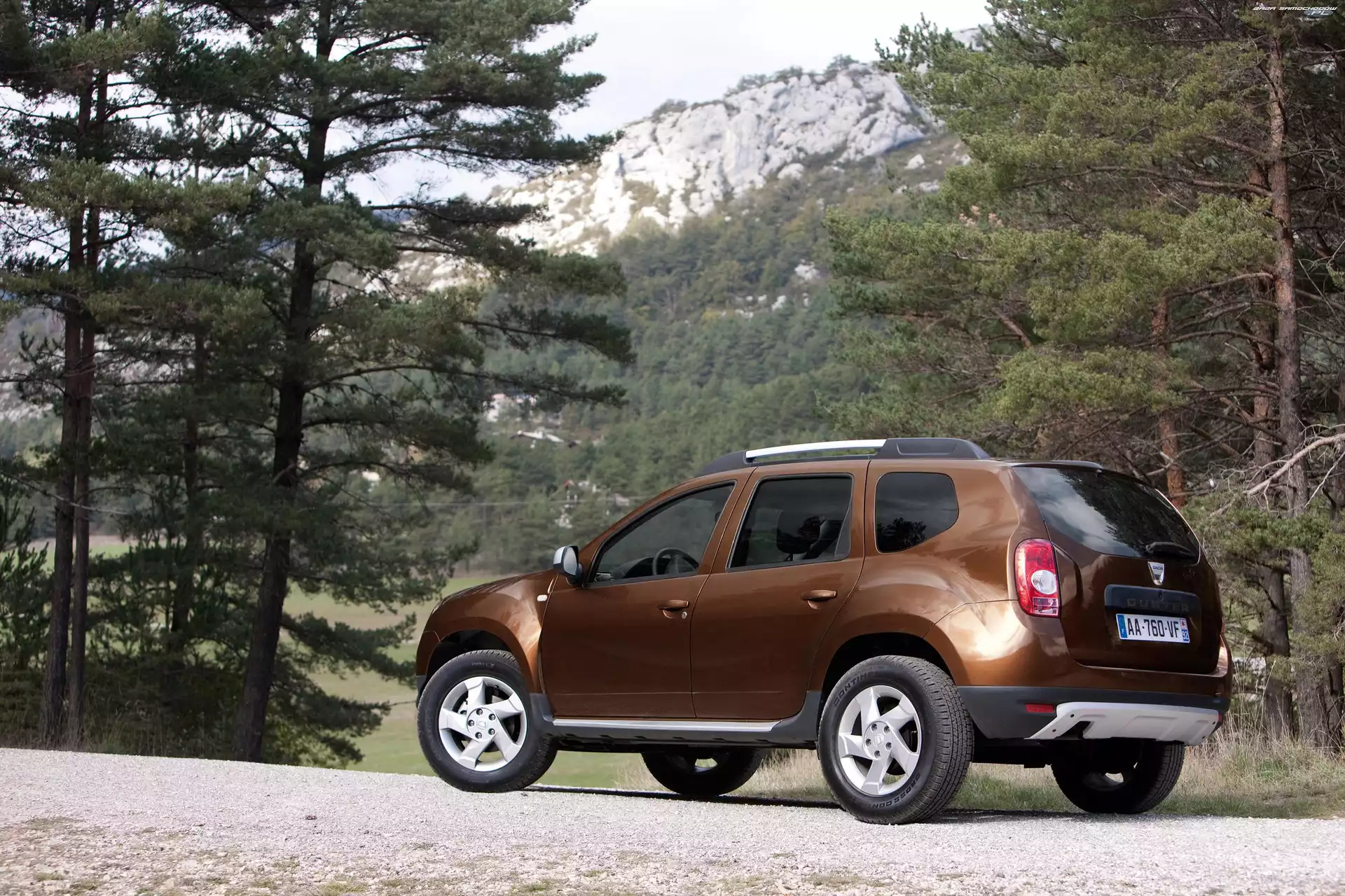 Tył, Las, Lewy, Dacia Duster