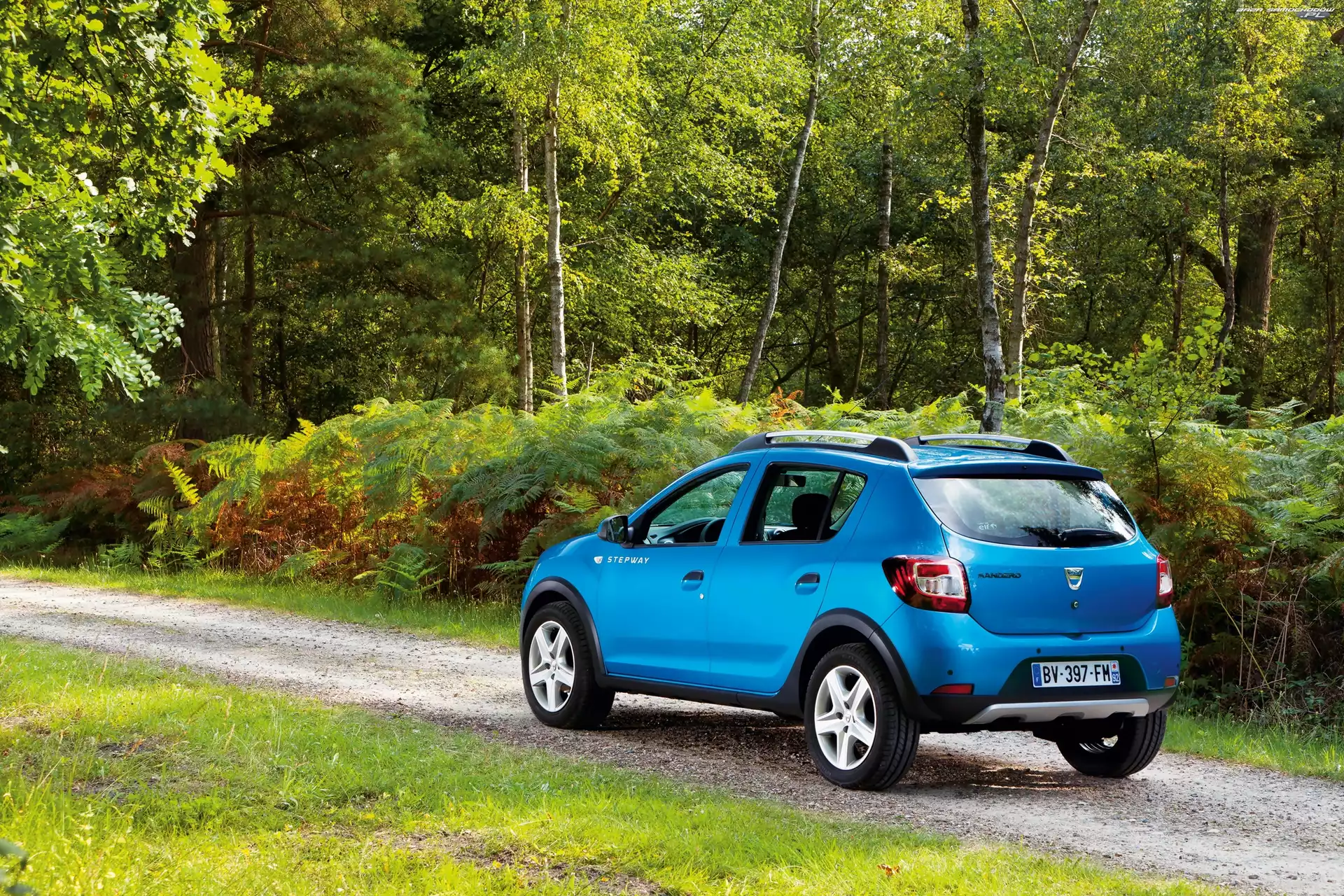 Tył, Niebieska, Dacia Sandero