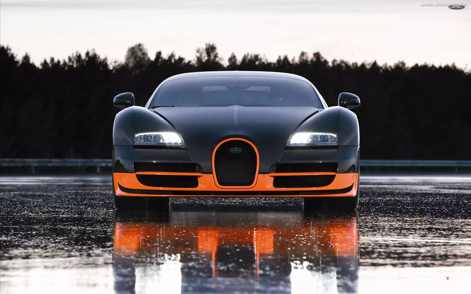 Bugatti Veyron 16.4 Super Sport, Ksenony