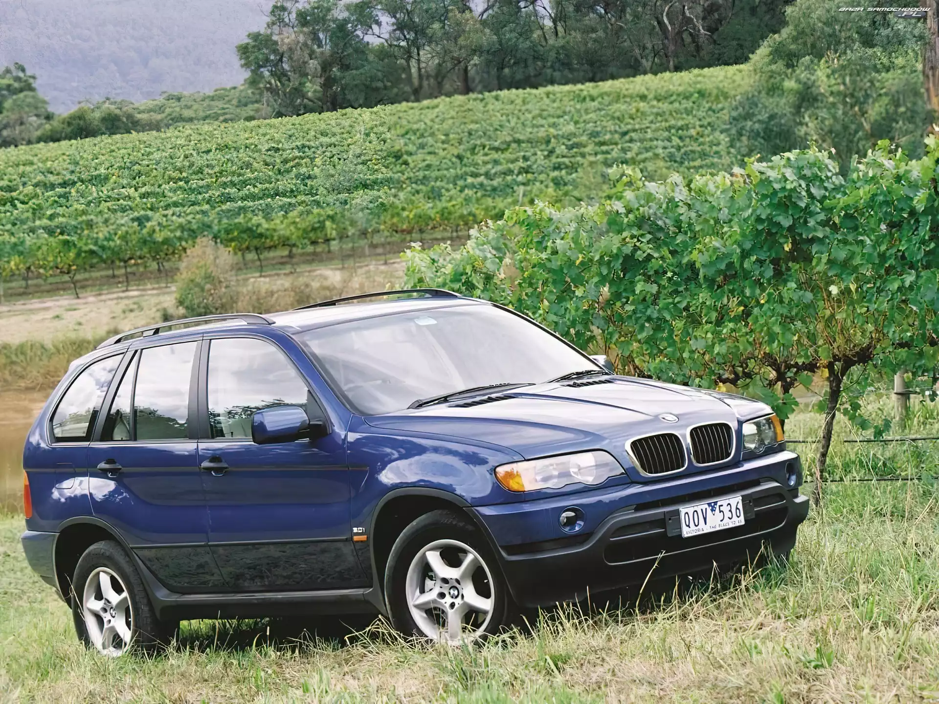 E53, Bmw X5