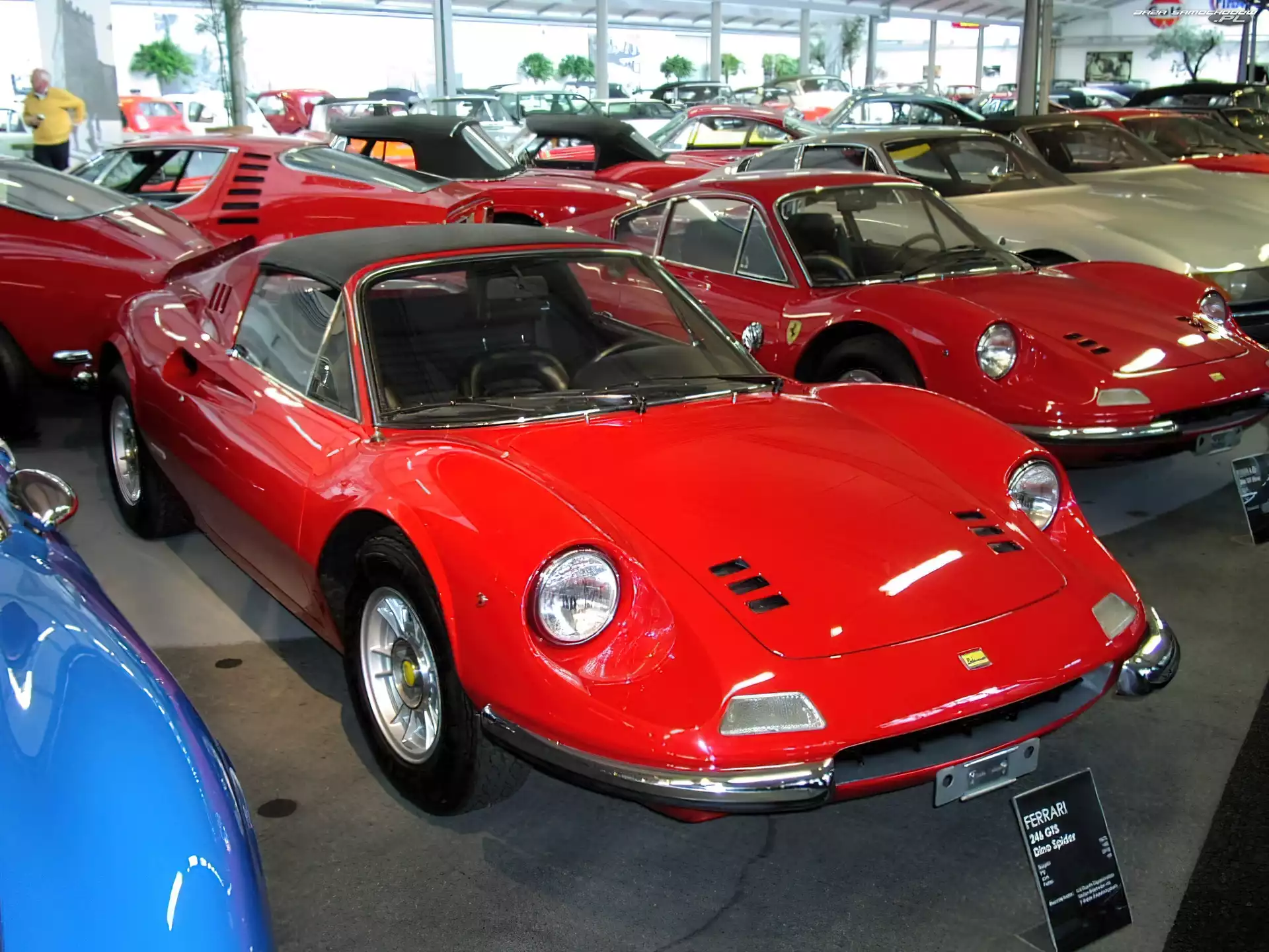 Zabytkowe, Ferrari Dino, Spider