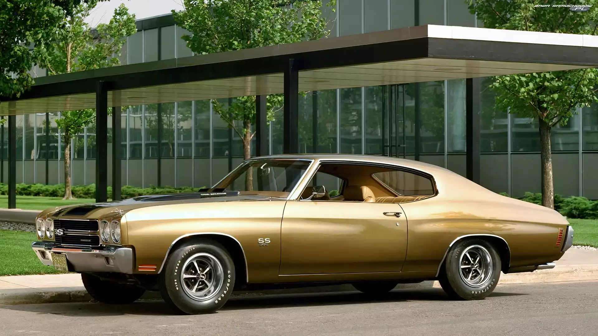 Zabytkowy, 1970 Chevelle SS, Samochód