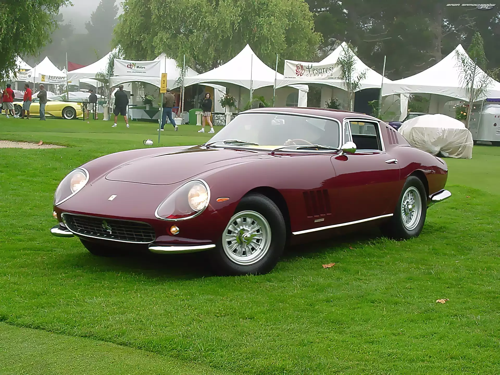 Zlot, Bordowe, Ferrari 275