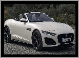 Alpine, Jaguar F-Type R, Cabrio